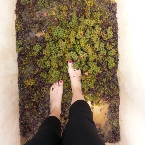 Meet your Posher, Kendra - Picture 6 of 7